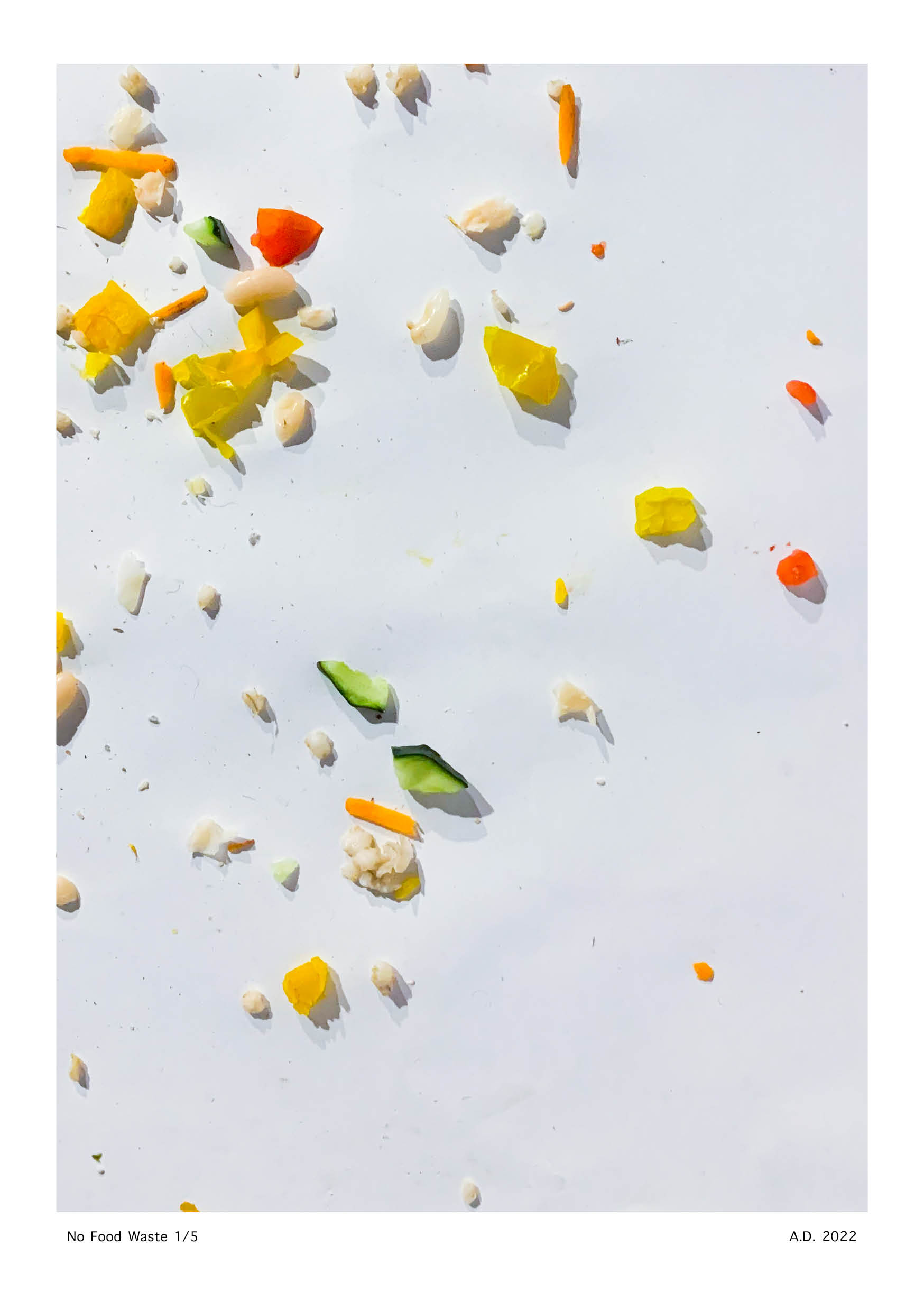 No Food Waste - Anna Deflorin 2022