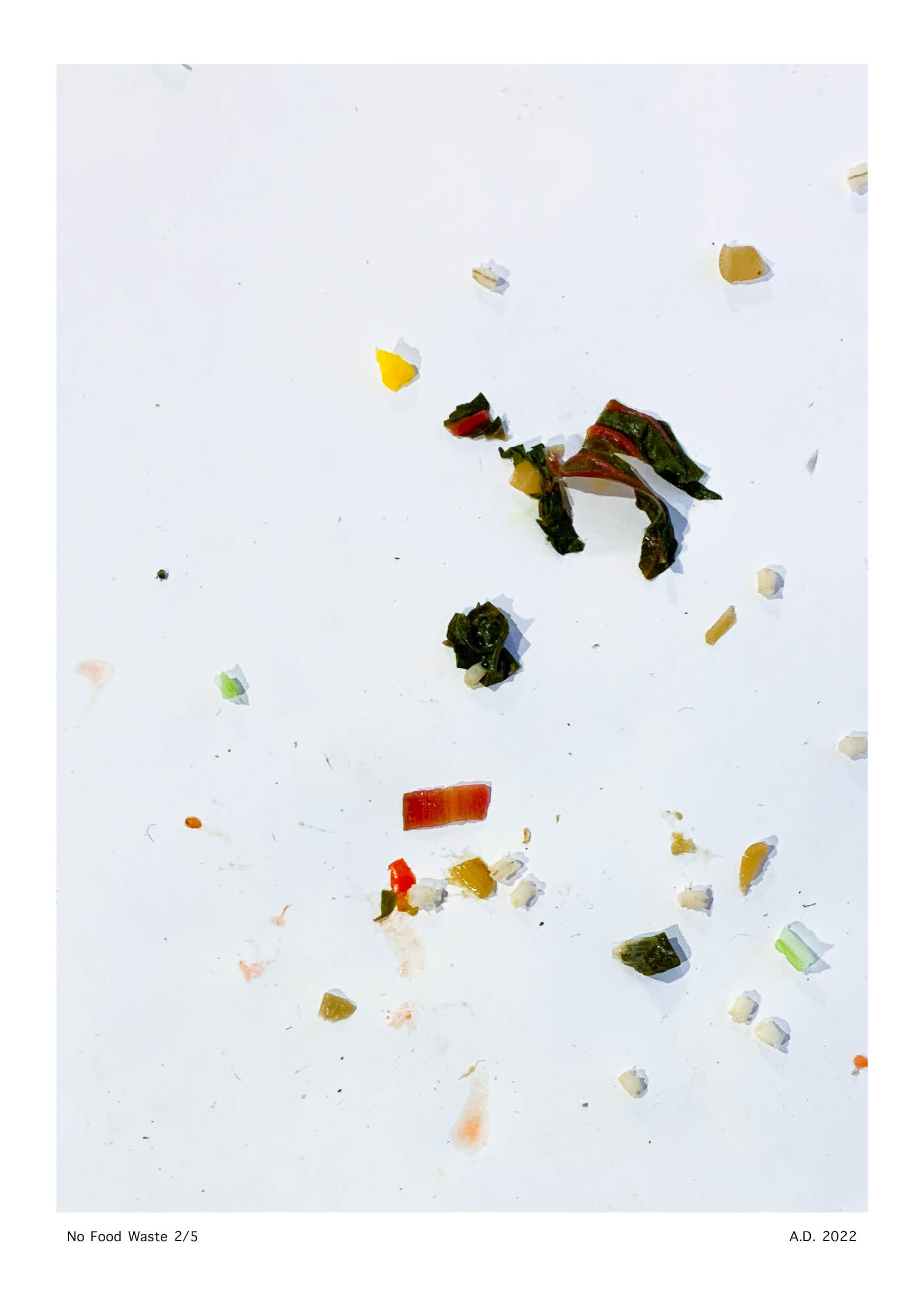 No Food Waste - Anna Deflorin 20222