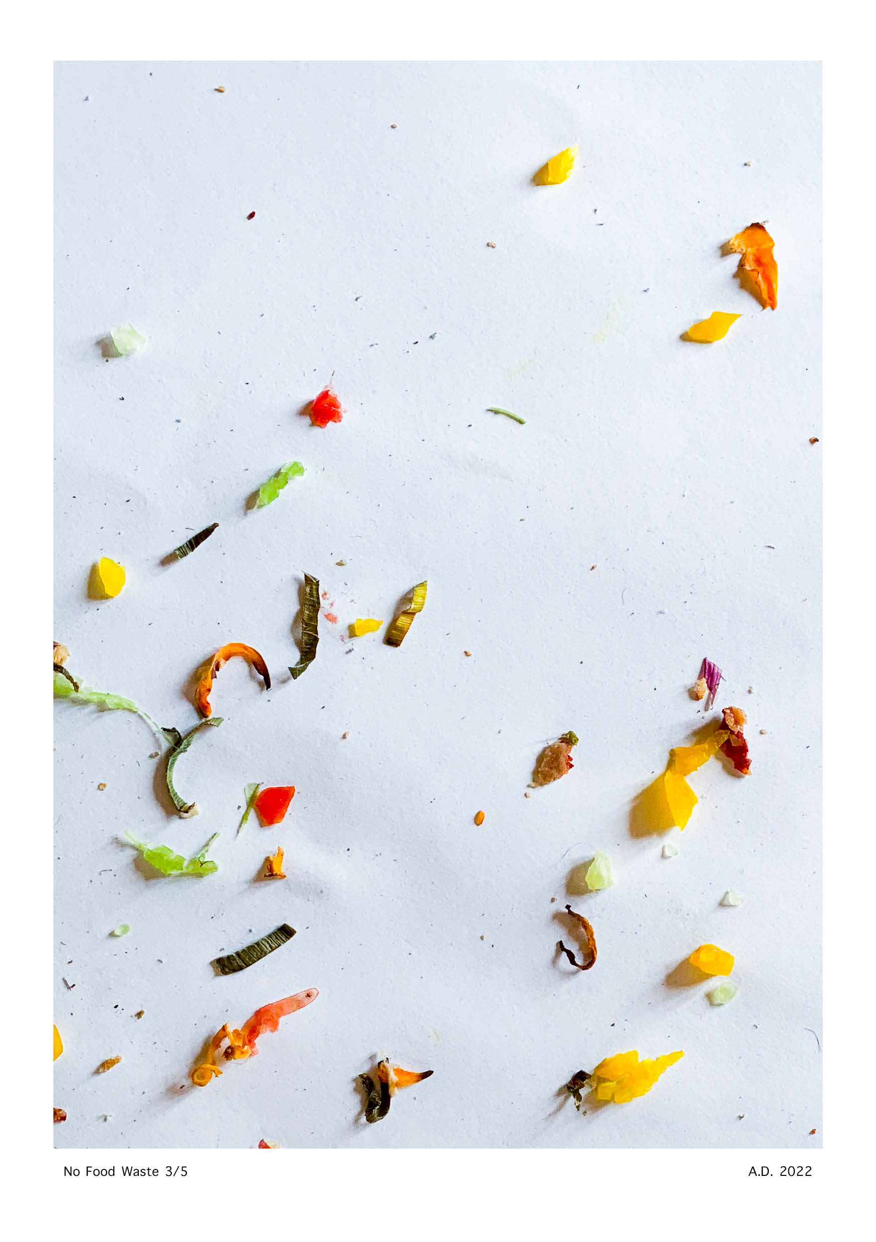 No Food Waste - Anna Deflorin 20223