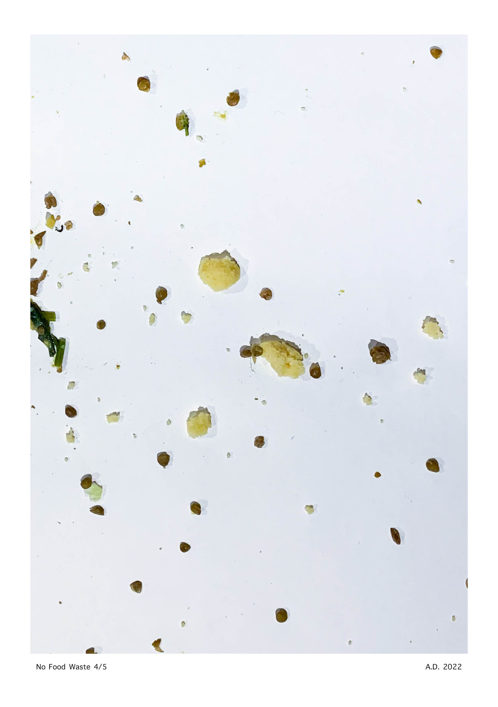 No Food Waste - Anna Deflorin 20224