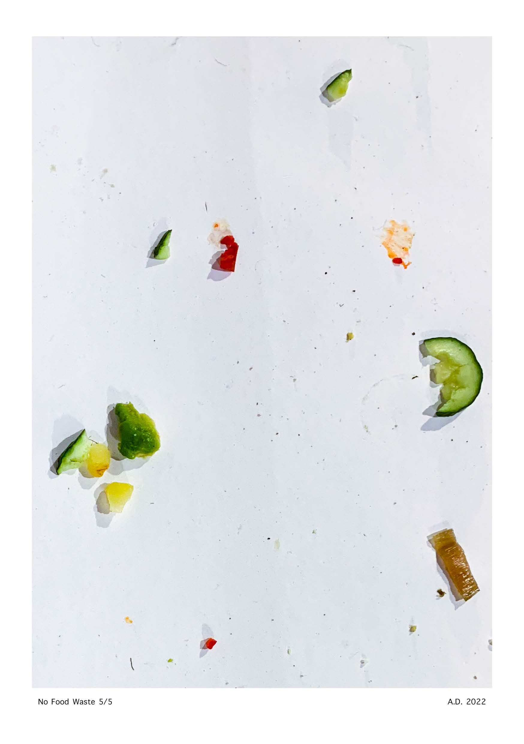 No Food Waste - Anna Deflorin 20225